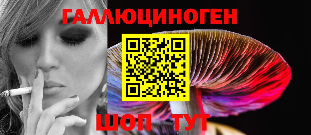 Ишимбай  как найти закладки  Вход с VPN  Галлюциногенные грибы Psilocybe 