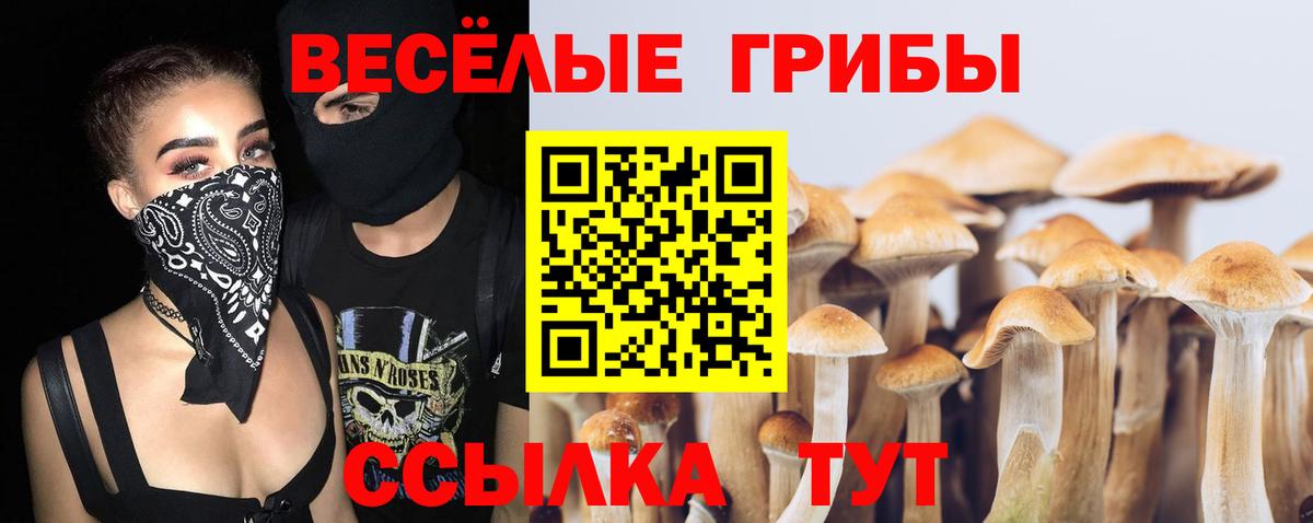 Псилоцибиновые грибы Magic Shrooms Ишимбай